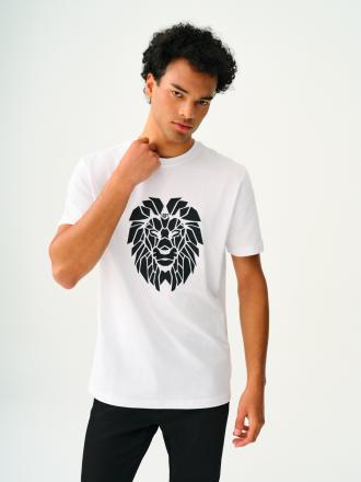 Regular Fit Erkek Tshirt K.kol (Baskılı) Thumbnail