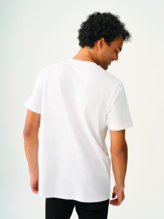 Regular Fit Erkek Tshirt K.kol (Baskılı) Thumbnail